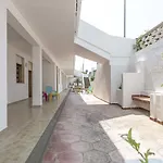 Mimosa, Mancaversa - Apulia