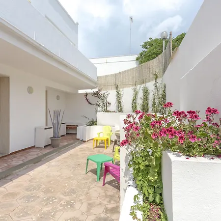 Mimosa, Mancaversa - Apulia *