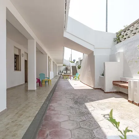 Mimosa, Mancaversa - Apulia